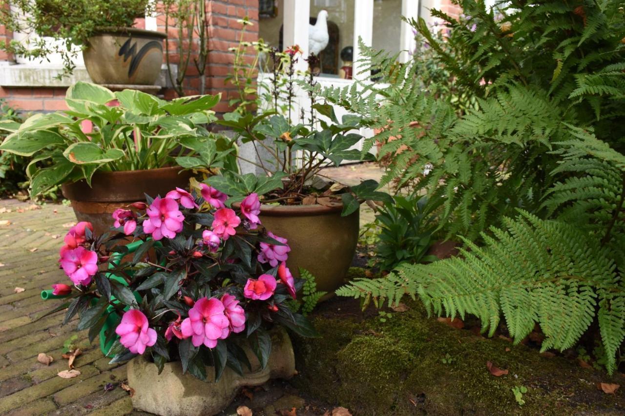 Bed & Breakfast Leonie Haga Zewnętrze zdjęcie